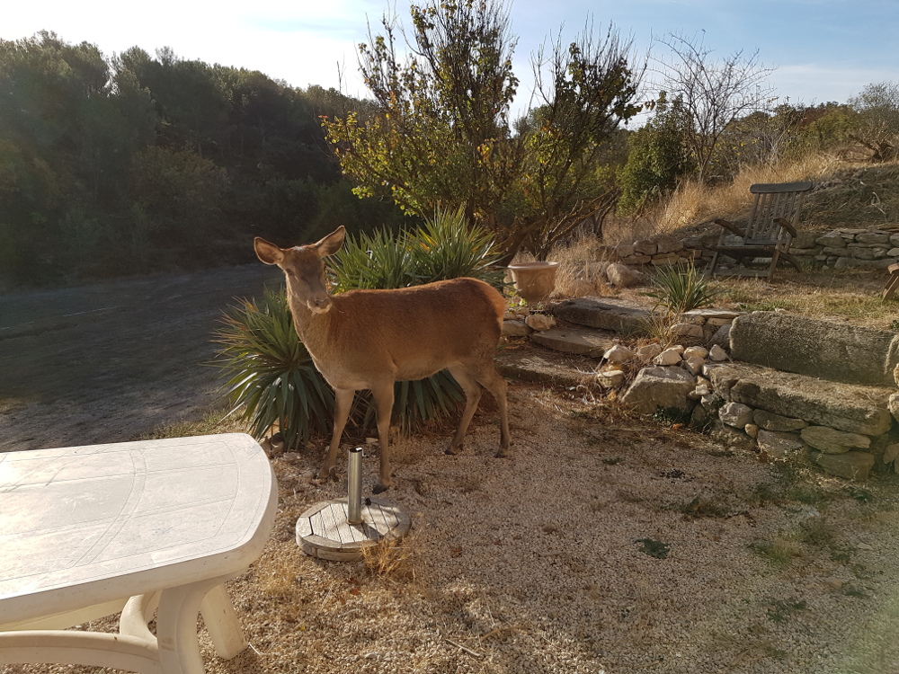 petite visite au bastidon
